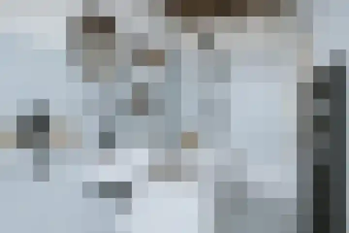 Hoge Boezem 21 B 02 Rotterdam thumbnail 6