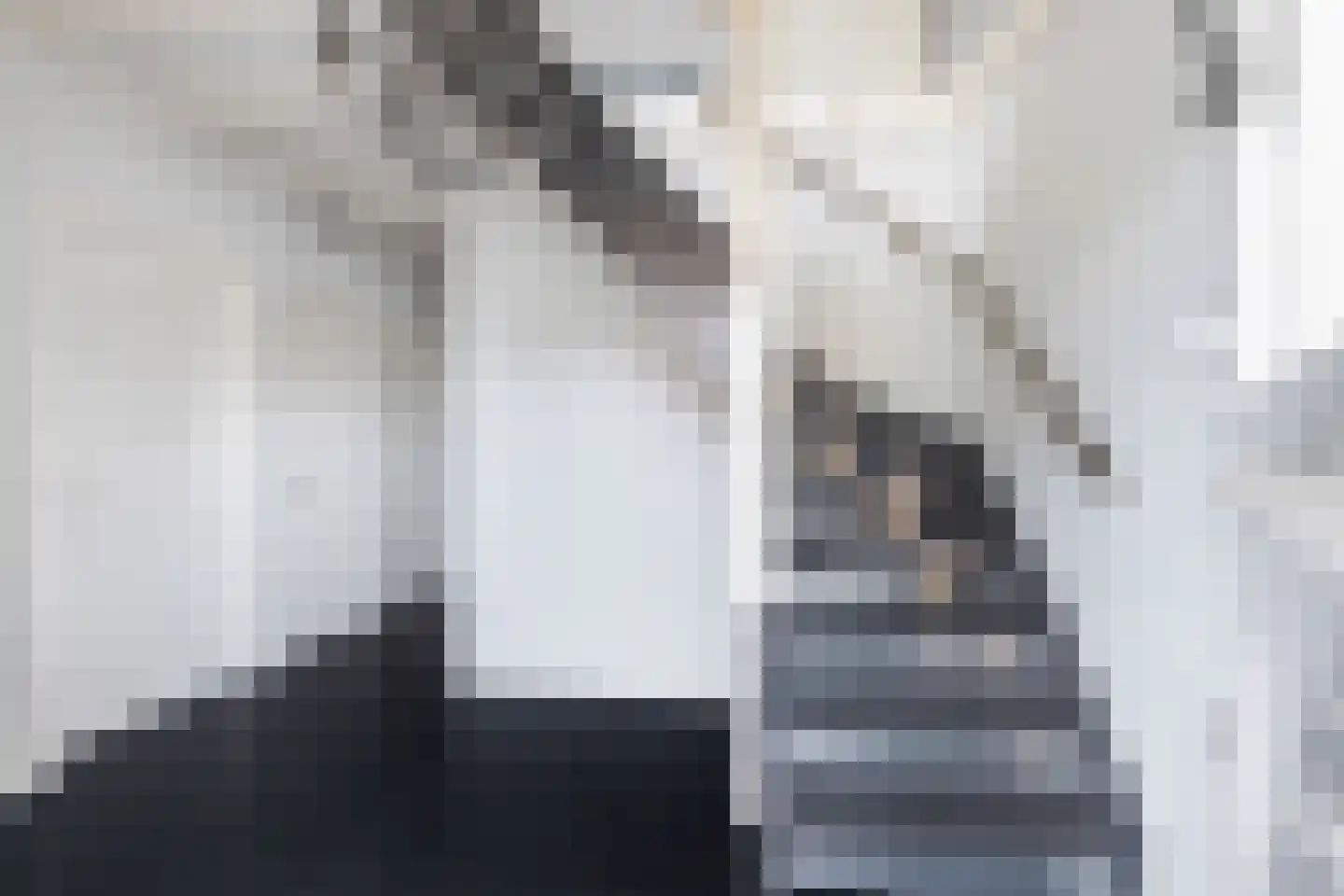 Hoge Bogerd 8 Steenbergen thumbnail 21