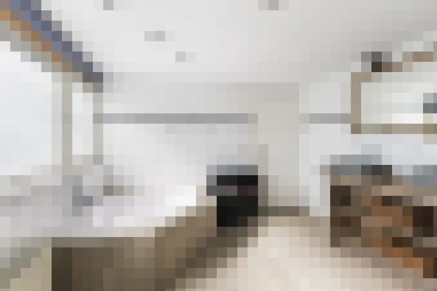 Hoge Bogerd 8 Steenbergen thumbnail 28