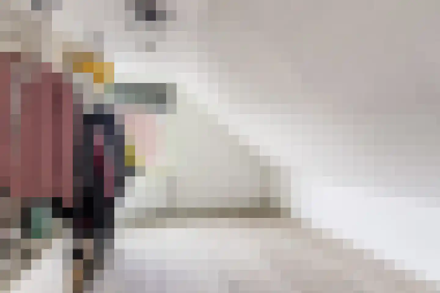 Hoge Bogerd 8 Steenbergen thumbnail 30