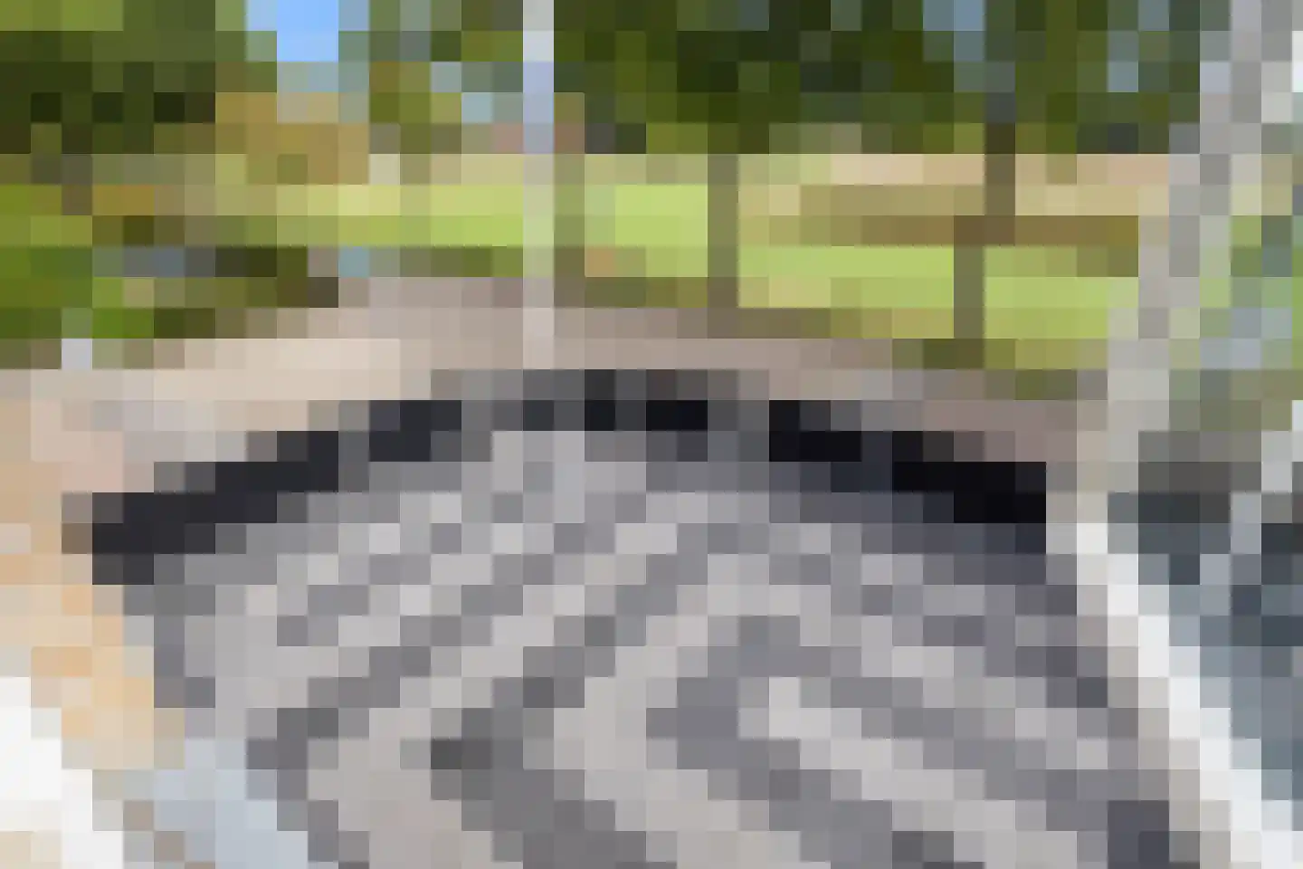 Hoge Bogerd 8 Steenbergen thumbnail 36