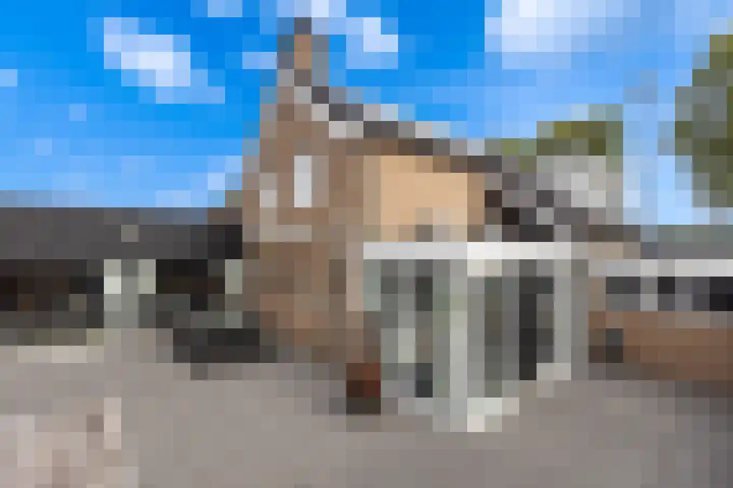 Hoge Bogerd 8 Steenbergen thumbnail 40