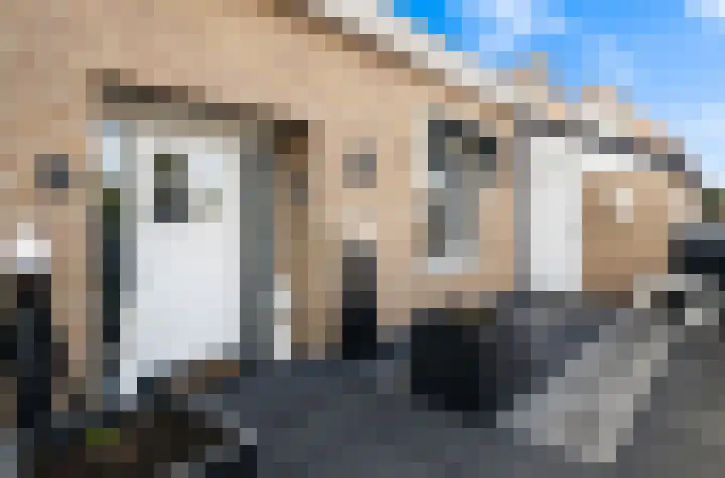 Hoge Bogerd 8 Steenbergen thumbnail 5
