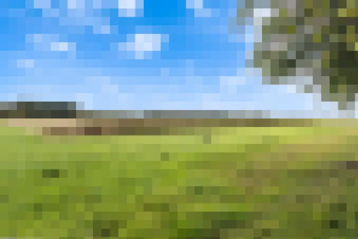 Hoge Bogerd 8 Steenbergen thumbnail 50