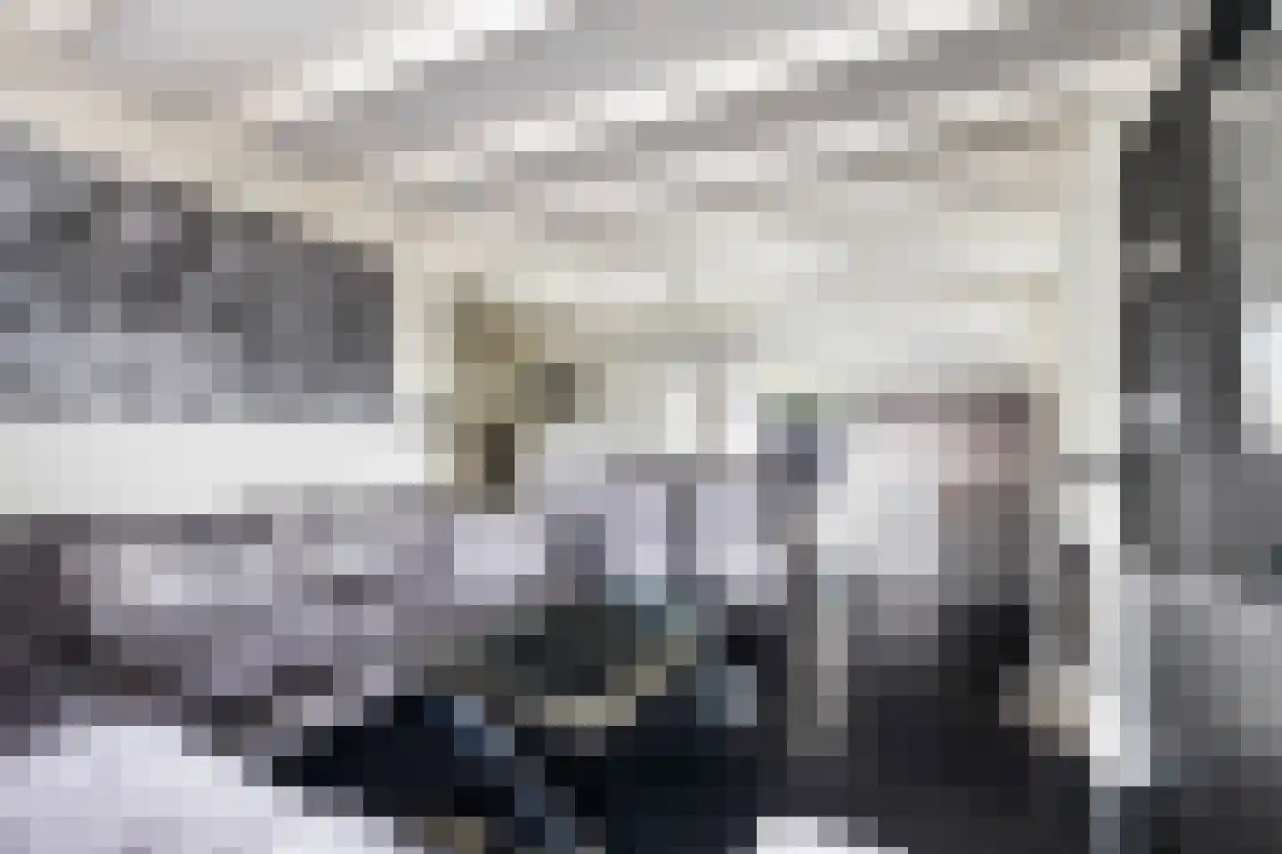 Hoge Bogerd 8 Steenbergen thumbnail 7