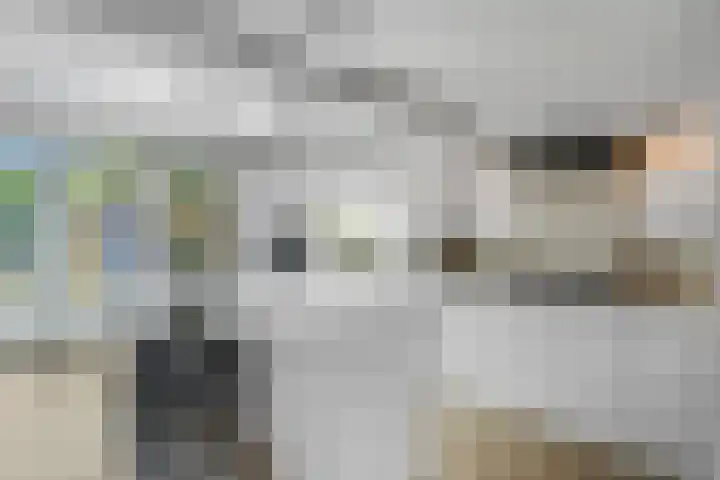 Hoge Bongerd 11 Lent thumbnail 10