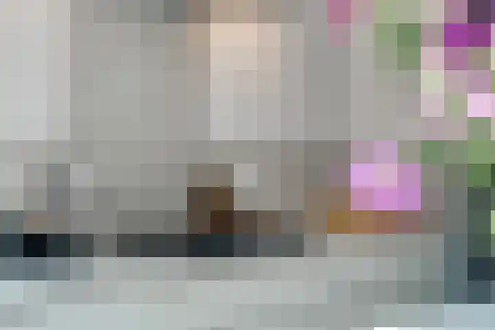 Hoge Bongerd 11 Lent thumbnail 13
