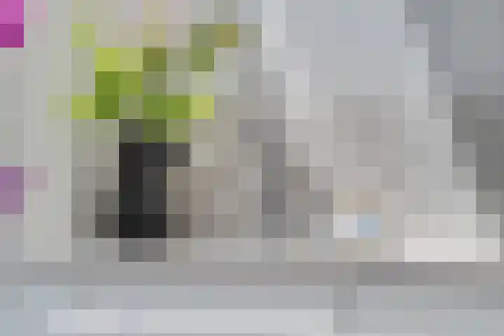 Hoge Bongerd 11 Lent thumbnail 14
