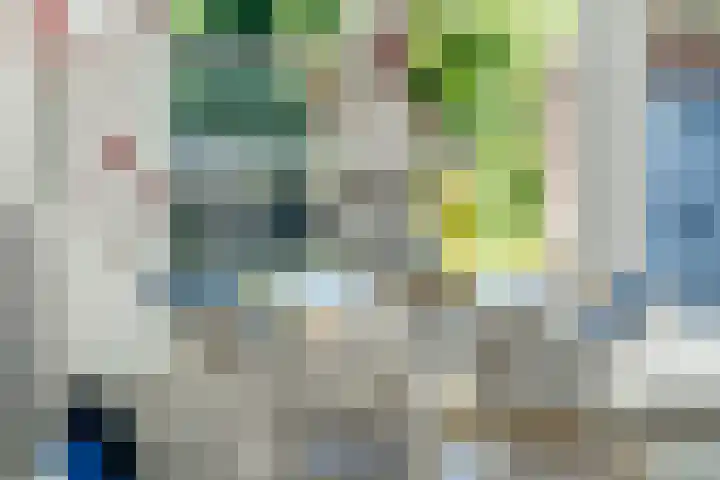 Hoge Bongerd 11 Lent thumbnail 16