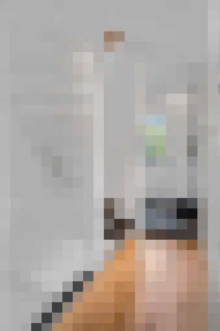 Hoge Bongerd 11 Lent thumbnail 24