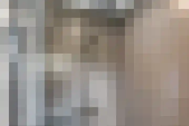 Hoge Bongerd 11 Lent thumbnail 34