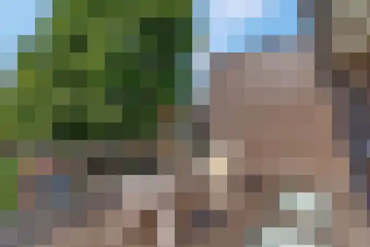 Hoge Bongerd 11 Lent thumbnail 36