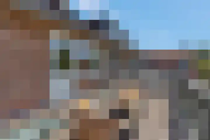 Hoge Bongerd 11 Lent thumbnail 37