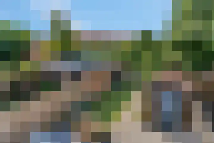 Hoge Bongerd 11 Lent thumbnail 38
