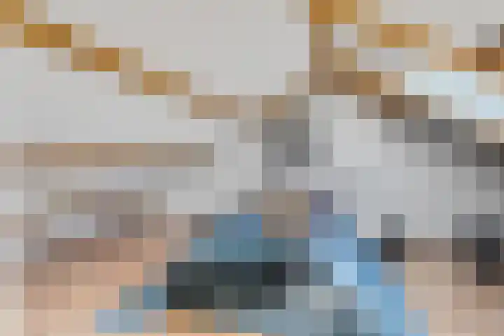 Hoge Bongerd 11 Lent thumbnail 41