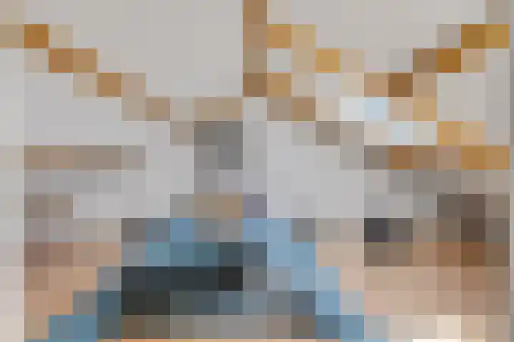 Hoge Bongerd 11 Lent thumbnail 42