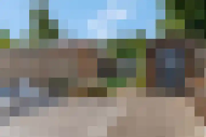 Hoge Bongerd 11 Lent thumbnail 45