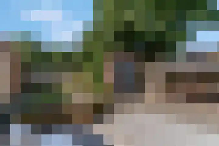 Hoge Bongerd 11 Lent thumbnail 46