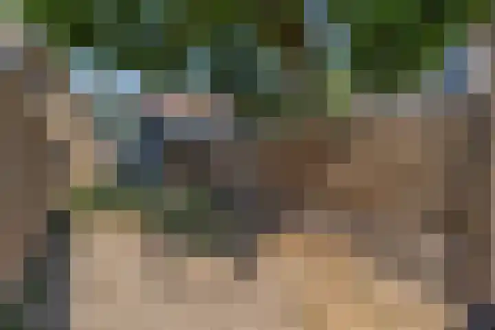 Hoge Bongerd 11 Lent thumbnail 50