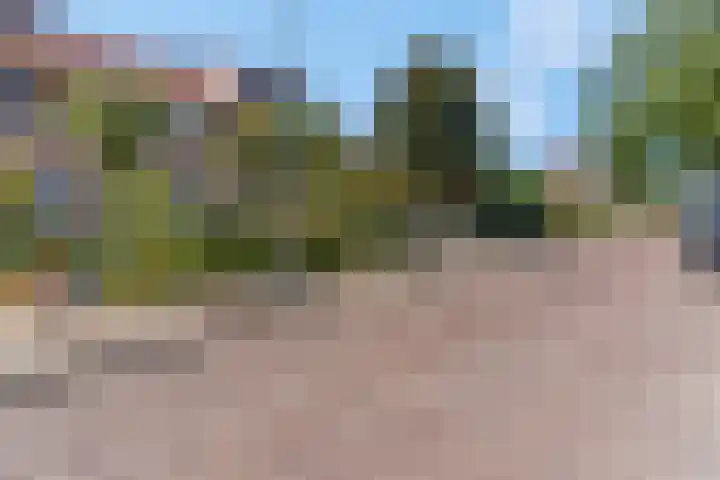 Hoge Bongerd 11 Lent thumbnail 52