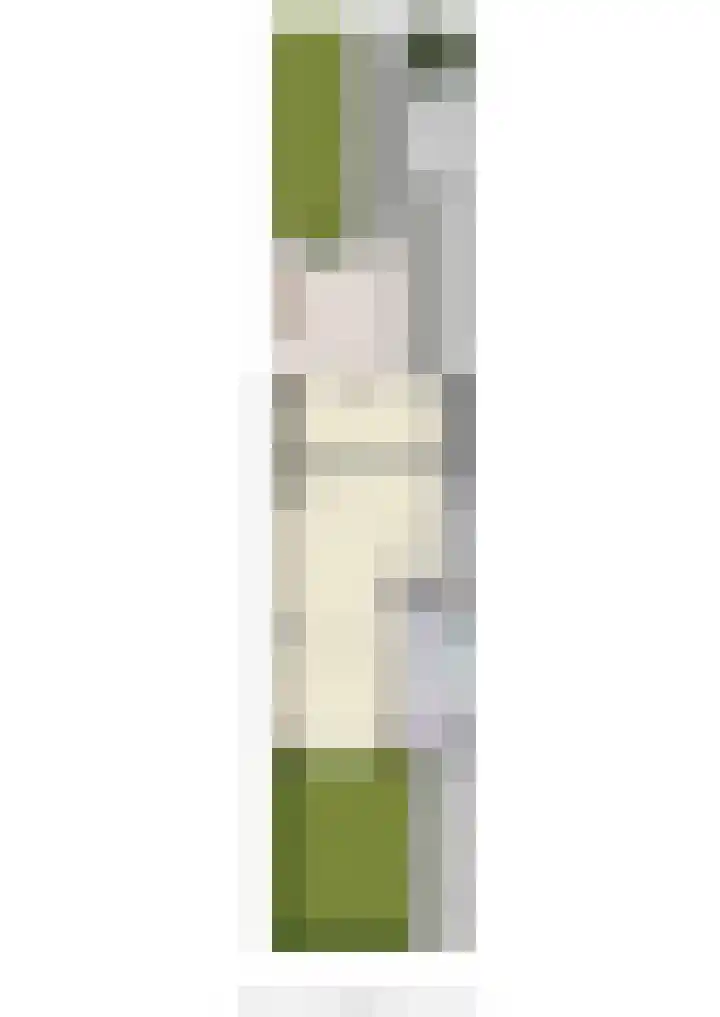 Hoge Bongerd 11 Lent thumbnail 58