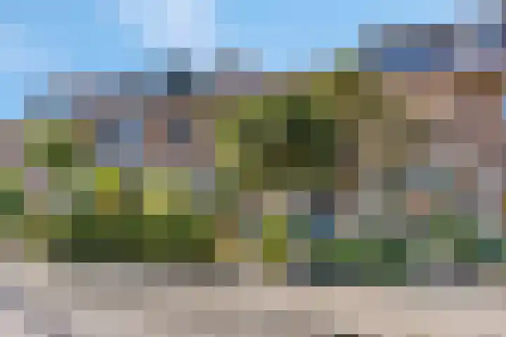 Hoge Bongerd 11 Lent thumbnail 6