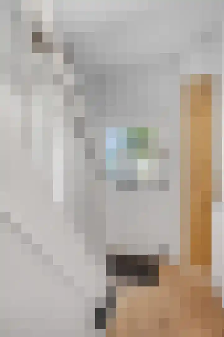 Hoge Bongerd 11 Lent thumbnail 7