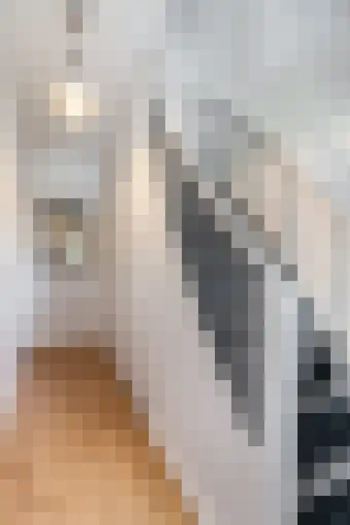 Hoge Bongerd 11 Lent thumbnail 8