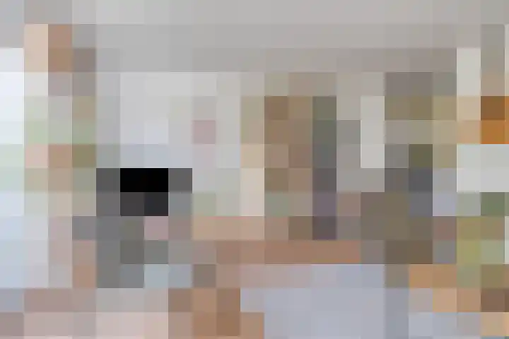 Hoge Borgh 26 Leek thumbnail 10