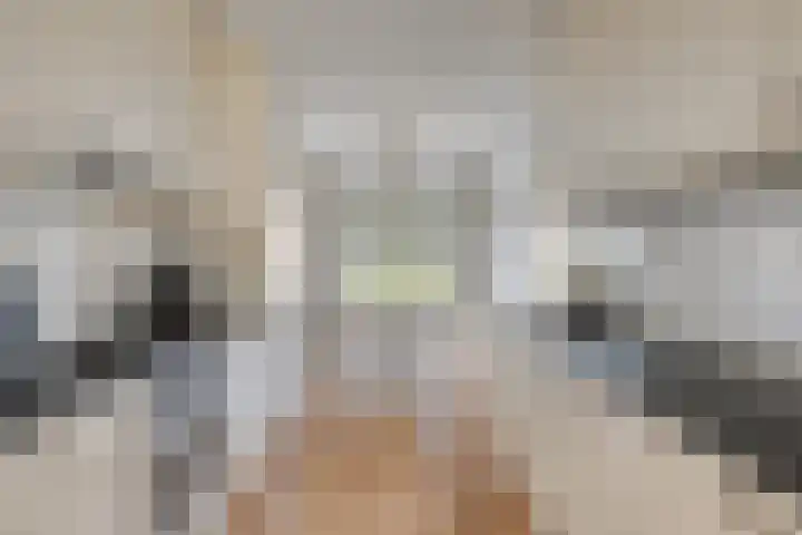 Hoge Borgh 26 Leek thumbnail 12
