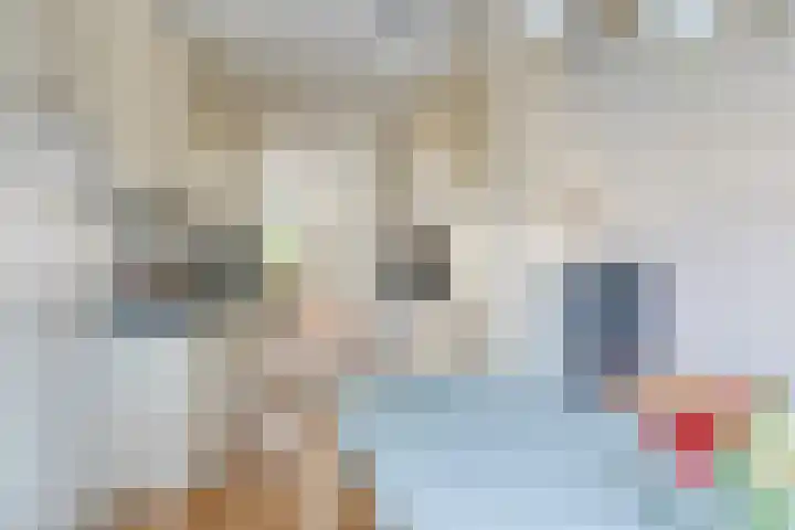 Hoge Borgh 26 Leek thumbnail 13