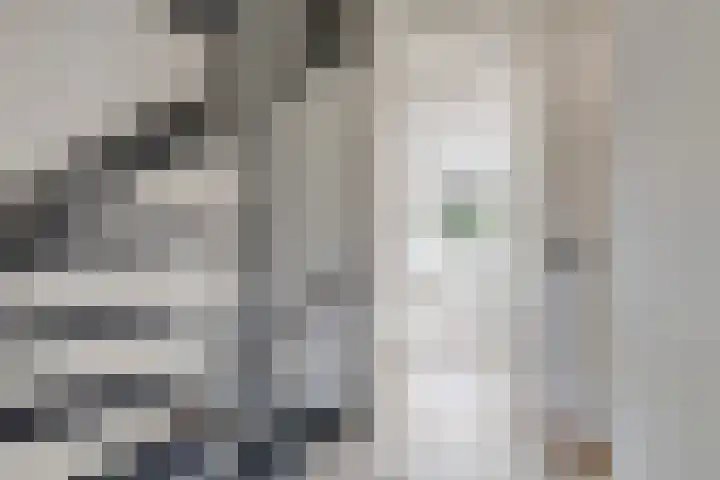Hoge Borgh 26 Leek thumbnail 16