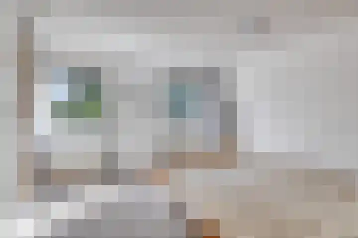 Hoge Borgh 26 Leek thumbnail 17