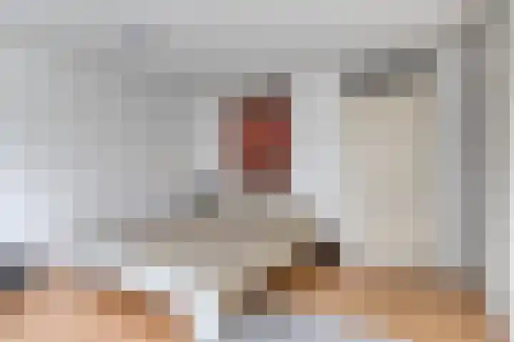 Hoge Borgh 26 Leek thumbnail 18