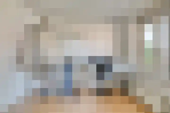 Hoge Borgh 26 Leek thumbnail 19