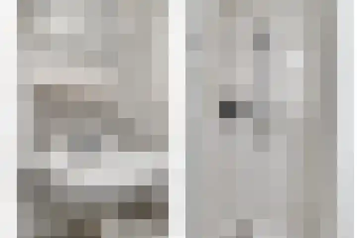 Hoge Borgh 26 Leek thumbnail 21