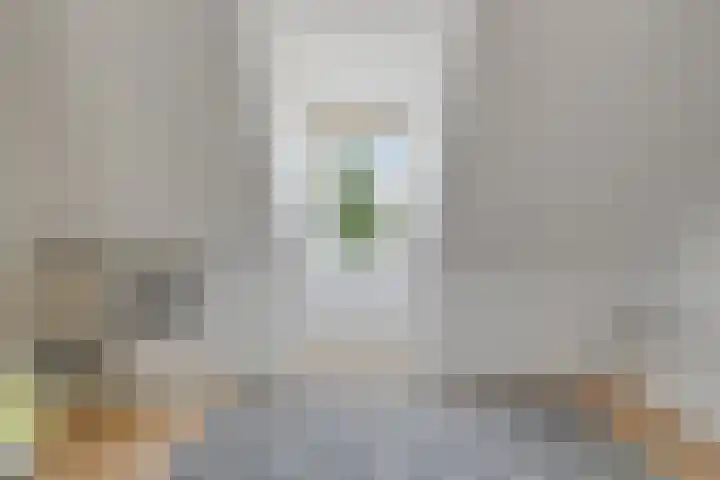 Hoge Borgh 26 Leek thumbnail 25
