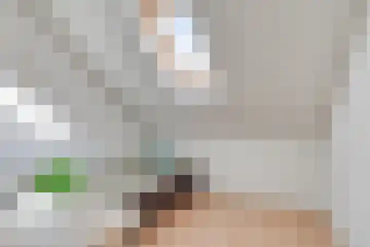 Hoge Borgh 26 Leek thumbnail 27