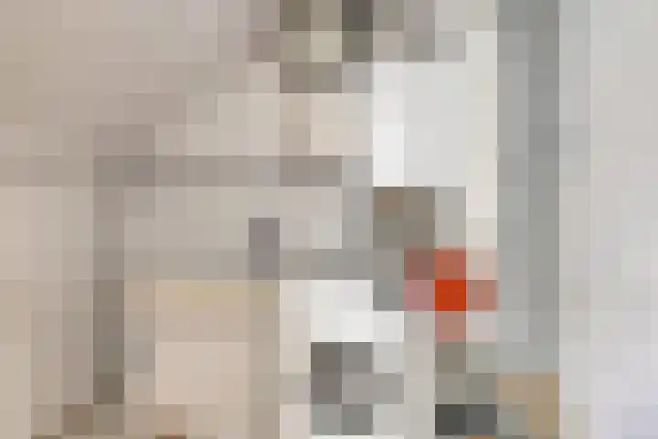 Hoge Borgh 26 Leek thumbnail 28