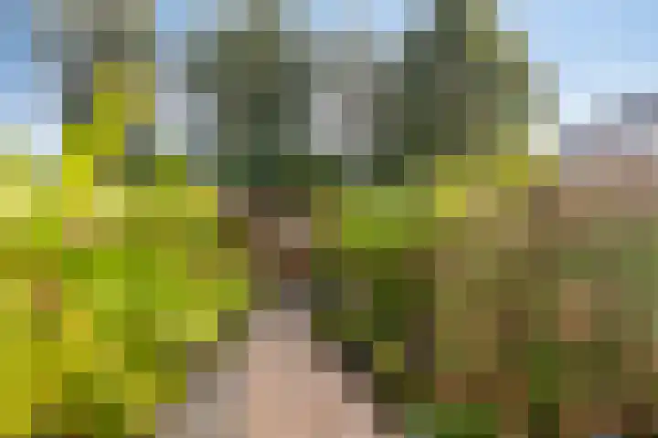 Hoge Borgh 26 Leek thumbnail 29