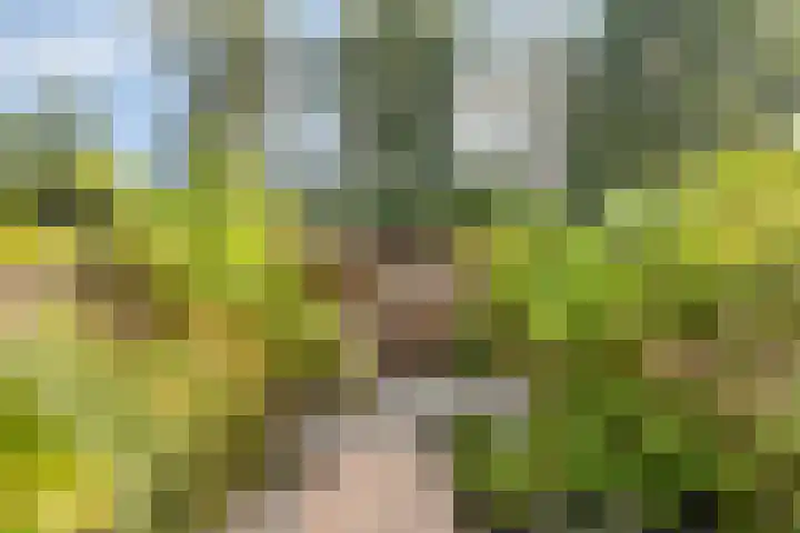 Hoge Borgh 26 Leek thumbnail 30