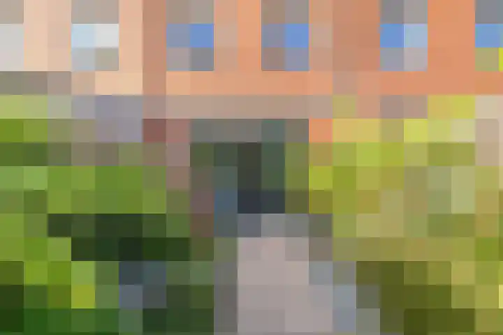 Hoge Borgh 26 Leek thumbnail 31