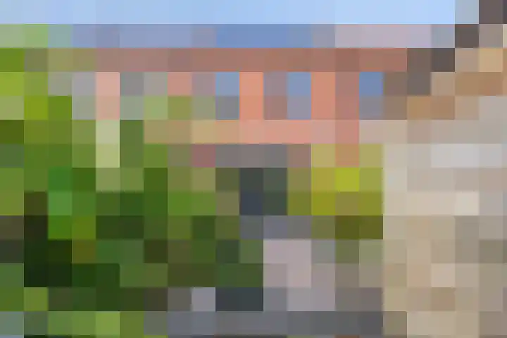 Hoge Borgh 26 Leek thumbnail 32