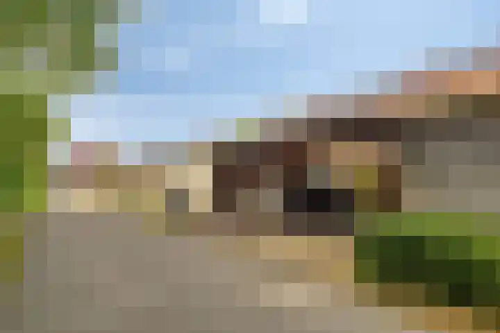 Hoge Borgh 26 Leek thumbnail 34