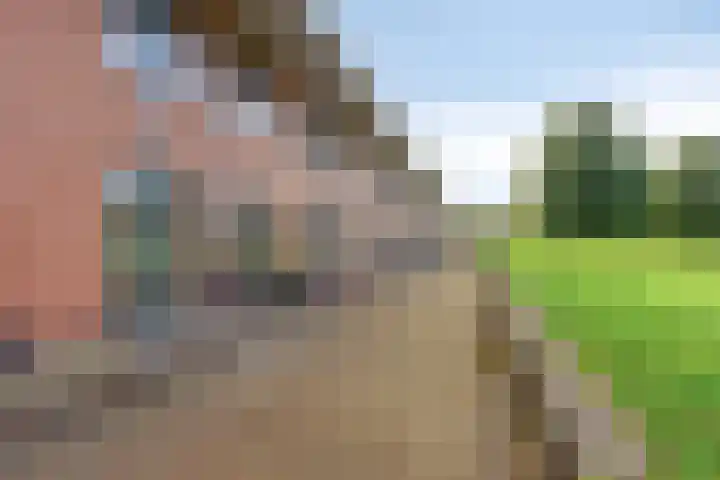 Hoge Borgh 26 Leek thumbnail 35