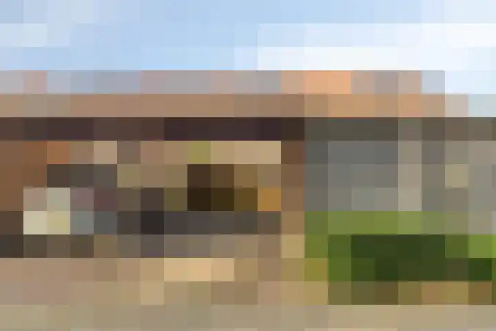 Hoge Borgh 26 Leek thumbnail 4