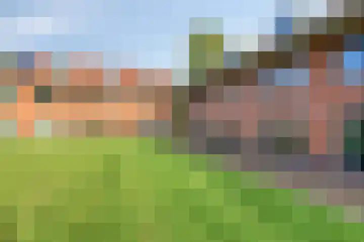 Hoge Borgh 26 Leek thumbnail 5