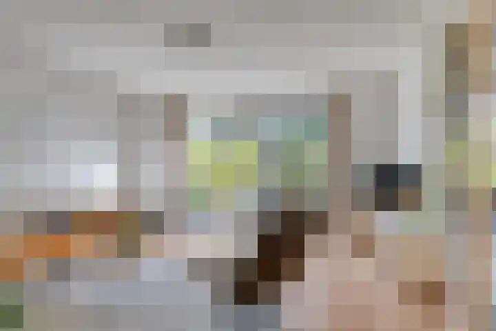 Hoge Borgh 26 Leek thumbnail 7