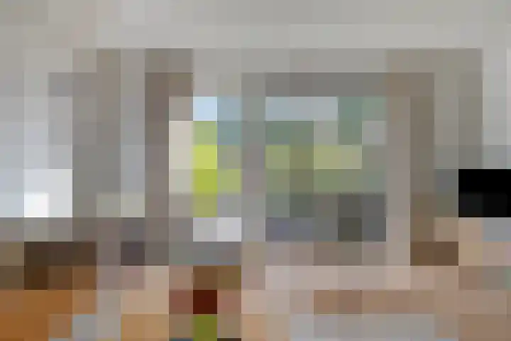 Hoge Borgh 26 Leek thumbnail 8