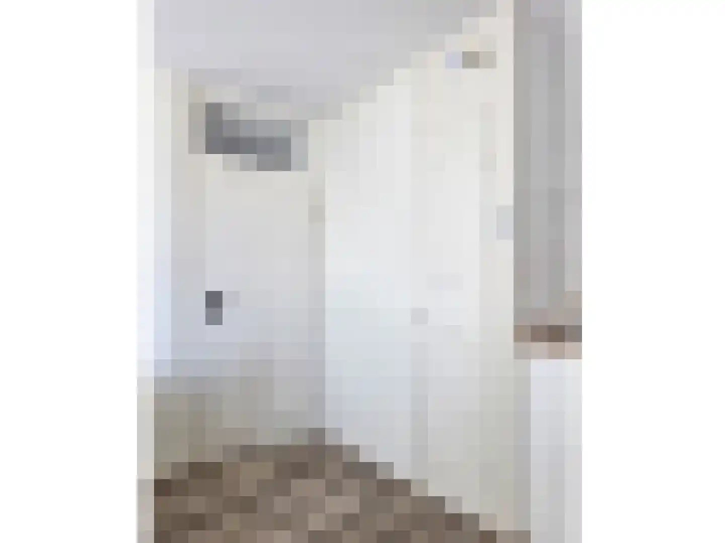 Hoge Bothofstraat 60 B Enschede thumbnail 24